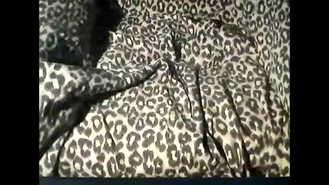 Snapshot of funcyman3 chatting on 02-18-25, 06:04 funcyman3 online show from 02-18-25, 06:04