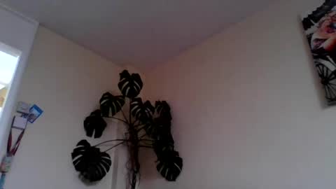 Snapshot of funn333222 chatting on 06-15-26, 10:28 funn333222 online show from 06-15-26, 10:28