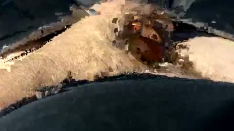 Snapshot of funtime741 chatting on 12-10-24, 02:16 funtime741 online show from 12-10-24, 02:16