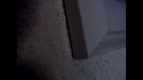 furcoatslave online show from 12-03-24, 09:01