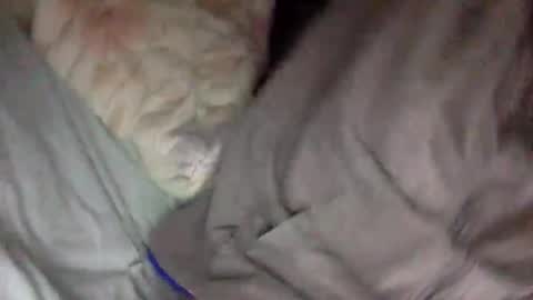 futurefux online show from 02-16-26, 01:07