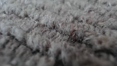 Snapshot of fuzzzman chatting on 01-19-26, 05:11 Mark online show from 01-19-26, 05:11