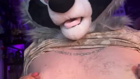 Zaboo Raccoon online show from 06-20-26, 06:27