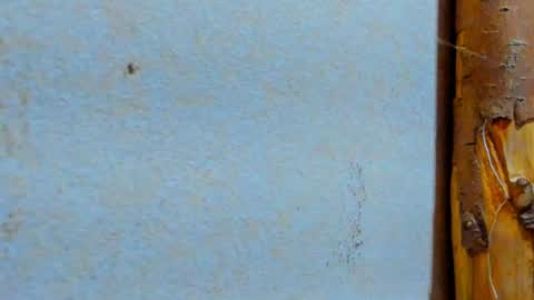 gabo_horny01 online show from 07-20-26, 08:33