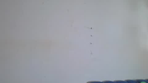 Snapshot of gael_david chatting on 07-12-26, 04:36 Gael online show from 07-12-26, 04:36