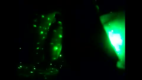 Ms. Fit online show from 12-15-24, 05:34