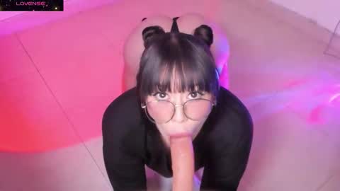 PROXIMO SHOW NOVIEMBRE 16   NEXT SHOW NOVEMBER  16    online show from 10-21-25, 12:11