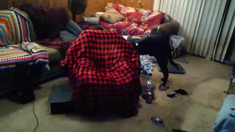 Snapshot of gamerfiend420 chatting on 10-17-25, 01:53 gamerfiend420 online show from 10-17-25, 01:53