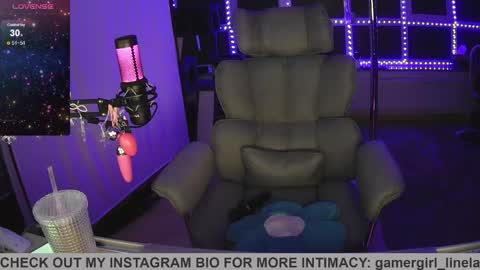 Snapshot of gamergirl_linela chatting on 04-10-26, 04:06 gamergirl_linela online show from 04-10-26, 04:06