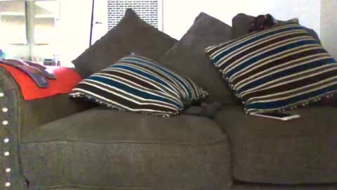 gangdrewski online show from 03-07-26, 11:02