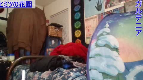 Gardenia online show from 01-21-25, 07:37