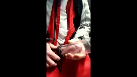 Snapshot of gator19037526775 chatting on 03-13-26, 02:23 gator19037526775 online show from 03-13-26, 02:23