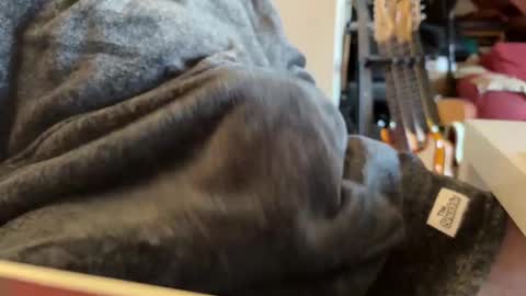 Snapshot of geezerblokeii chatting on 12-02-24, 09:13 geezerblokeii online show from 12-02-24, 09:13