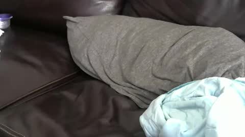 Geezer online show from 04-01-26, 04:48