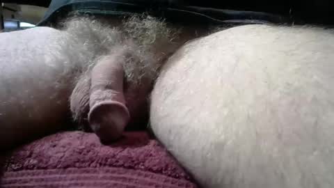 gemini_2 online show from 01-11-26, 02:55