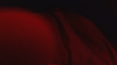 genitalwars online show from 03-04-26, 02:17