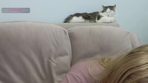 Gerta online show from 02-20-26, 09:15