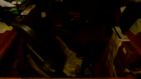 gfhdhr2 online show from 03-04-25, 09:18