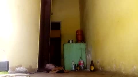 Snapshot of ghabriel7777788 chatting on 09-24-25, 04:21 Gaby online show from 09-24-25, 04:21