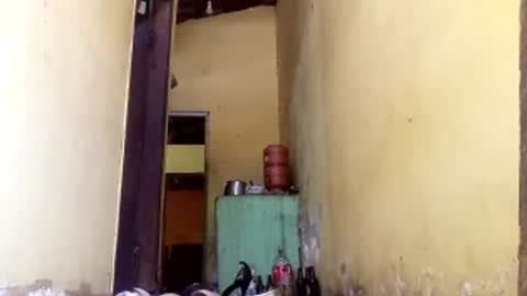 Snapshot of ghabriel7777788 chatting on 10-11-25, 02:15 Gaby online show from 10-11-25, 02:15