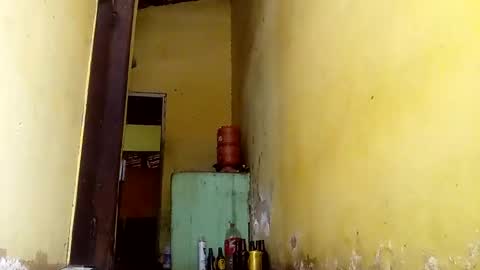 Snapshot of ghabriel7777788 chatting on 10-13-25, 05:13 Gaby online show from 10-13-25, 05:13