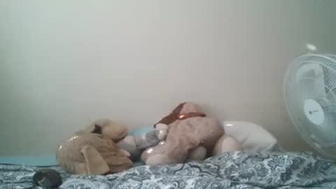 ghansberger2 online show from 03-11-26, 11:44