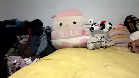 ghastgirlt_t online show from 03-28-26, 03:39