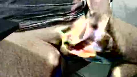 Snapshot of ghost1805 chatting on 10-14-25, 03:51 ghost1805 online show from 10-14-25, 03:51