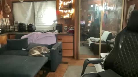 ghostboygbc online show from 03-17-26, 03:33