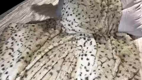 Snapshot of giaa4everr chatting on 11-07-25, 11:49 Giaa4ever online show from 11-07-25, 11:49