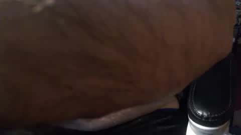 Gianni9000000 online show from 02-05-26, 02:43