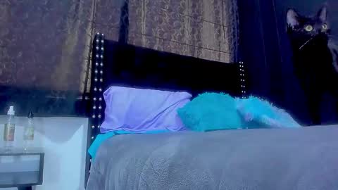 Miss online show from 09-29-25, 05:40