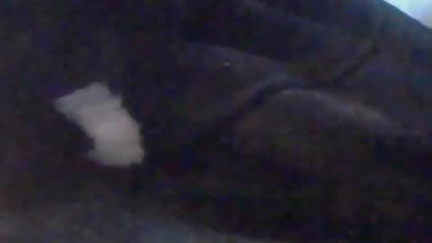 lovegirlscallme online show from 10-10-25, 03:44