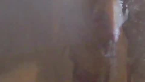 Snapshot of girlscallme666 chatting on 03-07-26, 10:40 lovegirlscallme online show from 03-07-26, 10:40