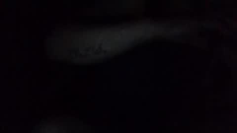 e-Bizl online show from 02-17-25, 03:15