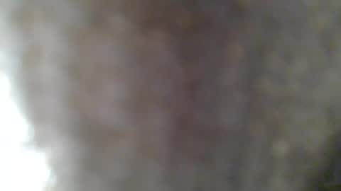 e-Bizl online show from 02-25-25, 07:31