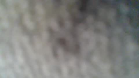 e-Bizl online show from 02-25-25, 10:37