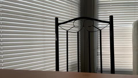 Snapshot of glazehoney chatting on 01-10-25, 05:02 glazehoney online show from 01-10-25, 05:02