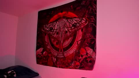 NYX online show from 02-05-26, 08:13