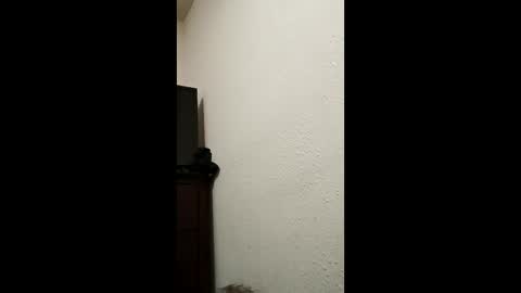 Snapshot of glitchingglob chatting on 03-30-26, 06:47 glitchingglob online show from 03-30-26, 06:47