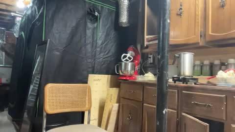 Snapshot of globalmovement chatting on 03-25-26, 07:31 globalmovement online show from 03-25-26, 07:31