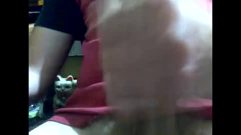 PencilDick online show from 01-17-25, 08:45