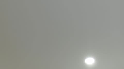 Snapshot of goath_08 chatting on 03-05-25, 11:05 goath_08 online show from 03-05-25, 11:05
