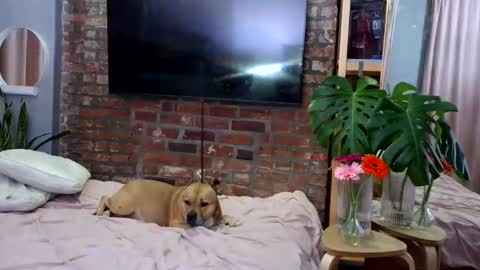 Goodess Jojo online show from 04-04-26, 01:15