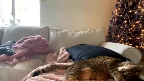 GoddessMayvn online show from 12-03-24, 06:17