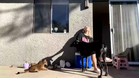 GoddessMayvn online show from 12-10-24, 09:33