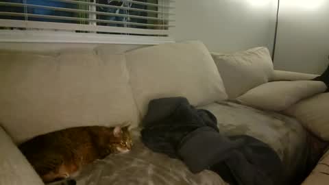 GoddessMayvn online show from 01-26-25, 10:34