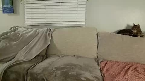 GoddessMayvn online show from 01-30-25, 10:08