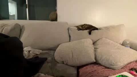 GoddessMayvn online show from 02-03-25, 09:52