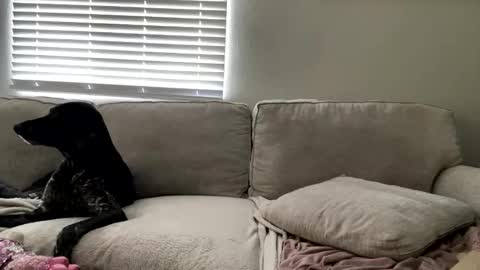 GoddessMayvn online show from 05-04-26, 03:41